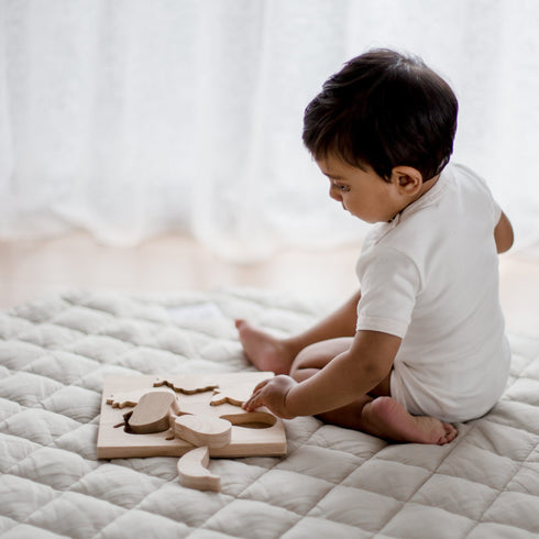 QTOYS - Fruit Puzzle